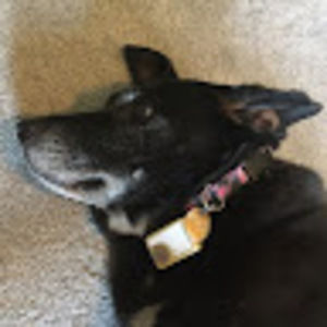 Meet your Posher, Karis